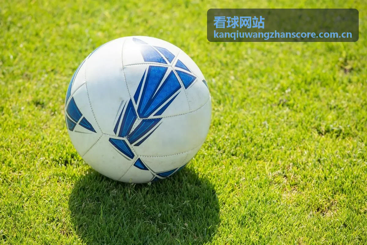 看球网站欧冠赛程信息